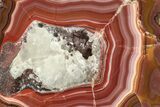 Colorful, Polished Condor Agate - Argentina #209618-1